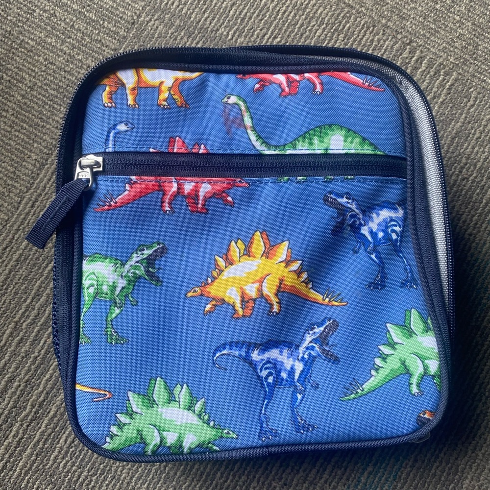 Royal Blue Dinosaur Print Square Bag
